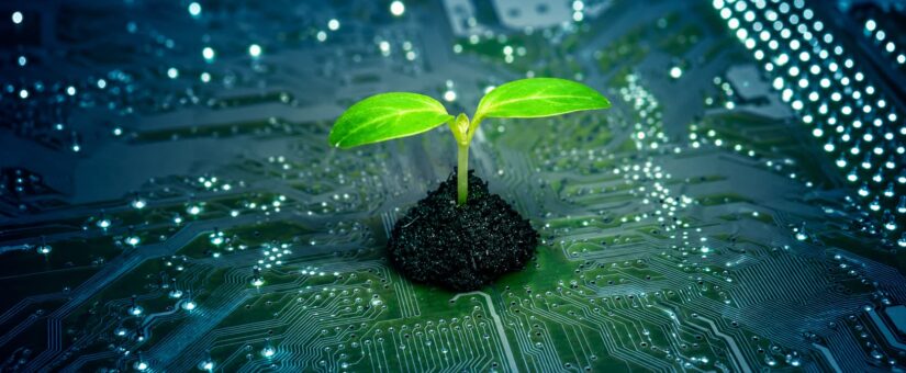 Digital Innovation, Natural Awareness, and Modern Online Experiences